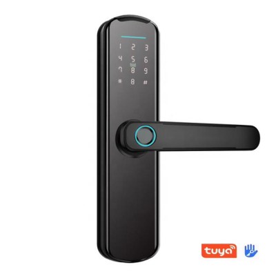 KLVX8 Tuya Smart Door Lock
